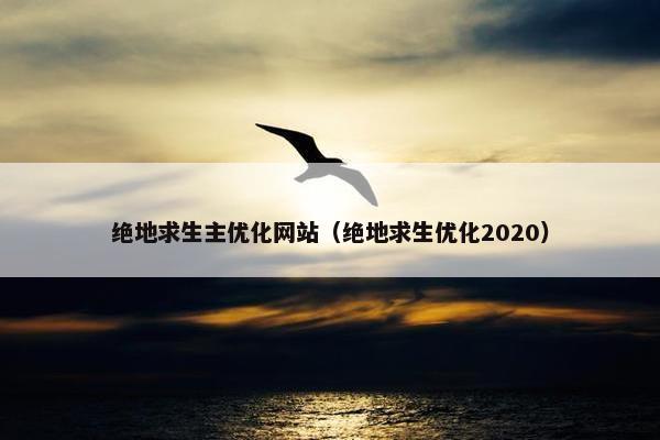 绝地求生主优化网站（绝地求生优化2020）