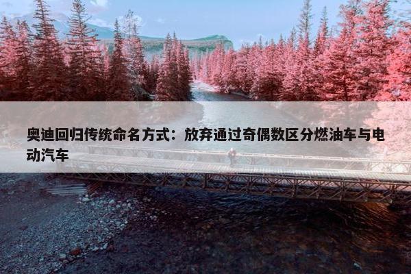 奥迪回归传统命名方式：放弃通过奇偶数区分燃油车与电动汽车