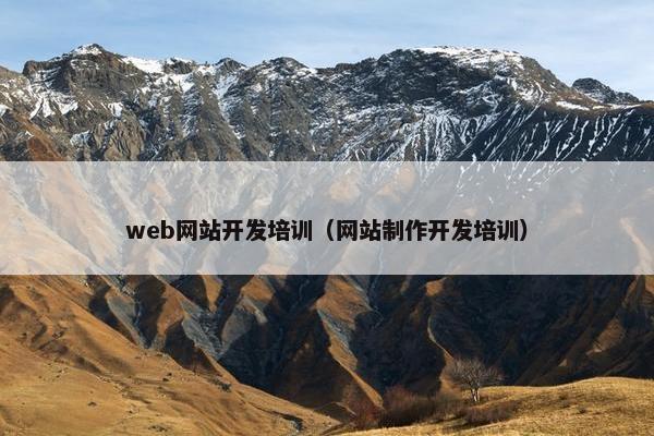 web网站开发培训（网站制作开发培训）