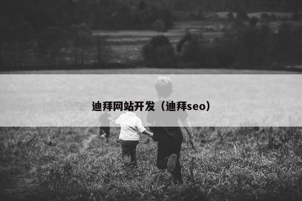 迪拜网站开发（迪拜seo）