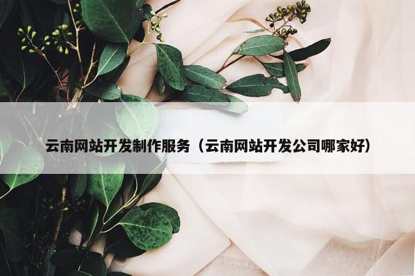 云南网站开发制作服务（云南网站开发公司哪家好）