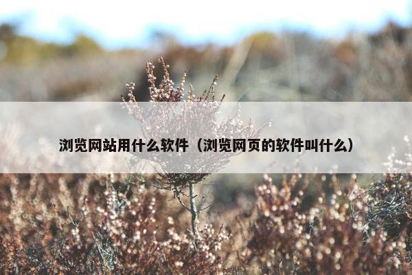 浏览网站用什么软件（浏览网页的软件叫什么）