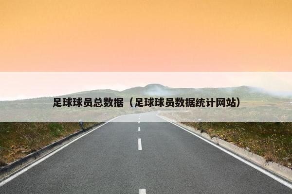 足球球员总数据（足球球员数据统计网站）