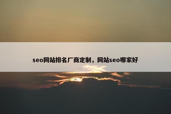 seo网站排名厂商定制，网站seo哪家好