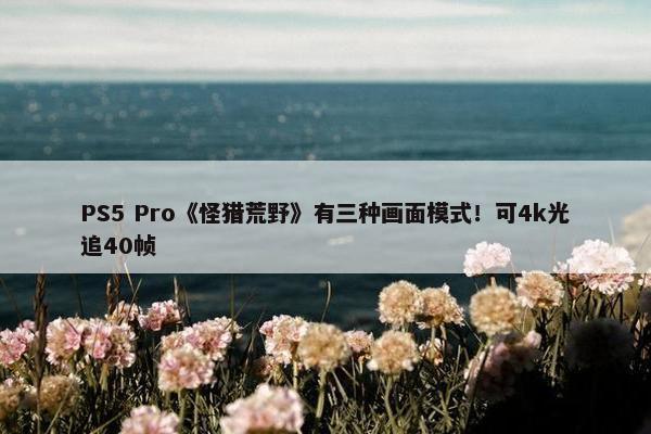 PS5 Pro《怪猎荒野》有三种画面模式！可4k光追40帧