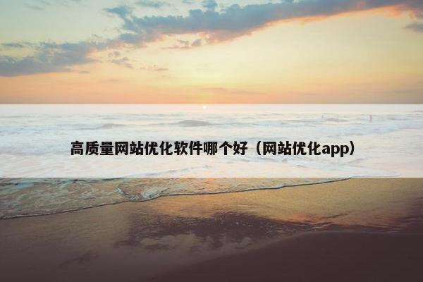 高质量网站优化软件哪个好（网站优化app）