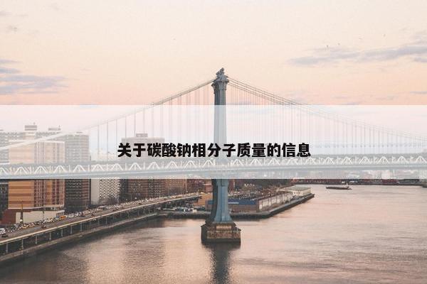 关于碳酸钠相分子质量的信息