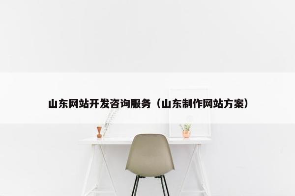 山东网站开发咨询服务（山东制作网站方案）