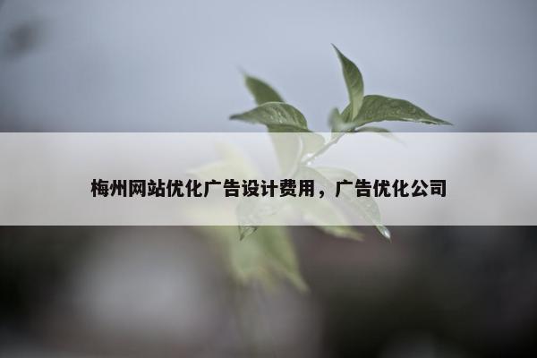 梅州网站优化广告设计费用，广告优化公司