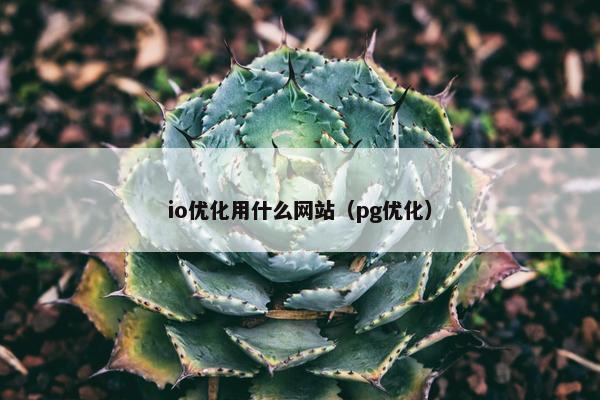 io优化用什么网站（pg优化）