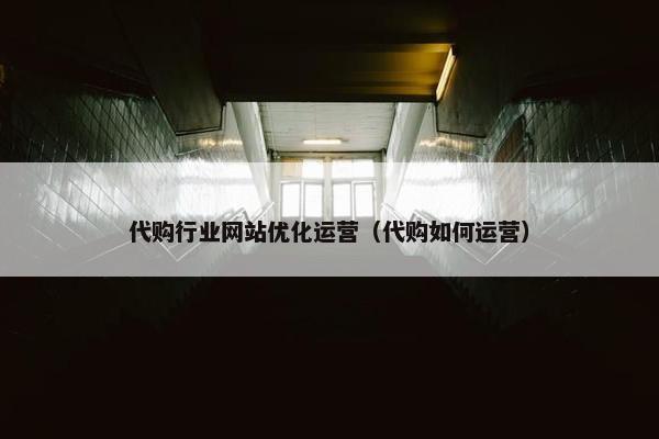 代购行业网站优化运营（代购如何运营）