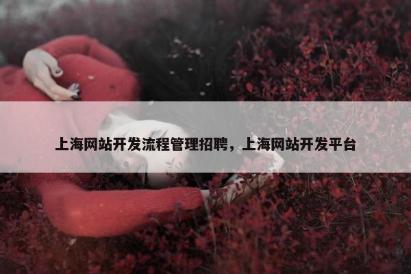 上海网站开发流程管理招聘，上海网站开发平台