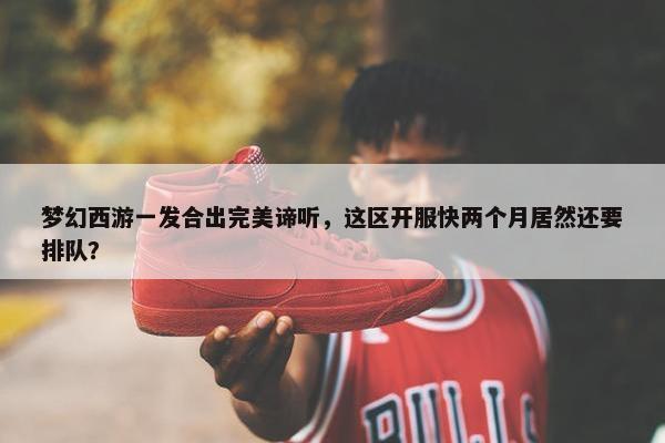 梦幻西游一发合出完美谛听，这区开服快两个月居然还要排队？