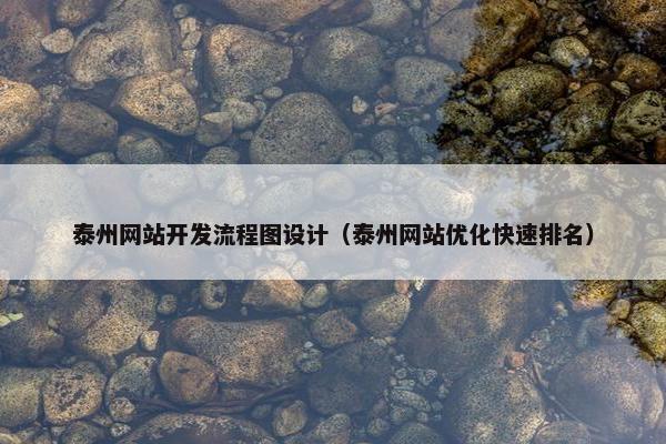 泰州网站开发流程图设计（泰州网站优化快速排名）