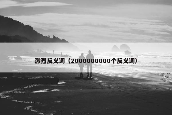 激烈反义词（2000000000个反义词）