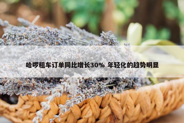 哈啰租车订单同比增长30% 年轻化的趋势明显