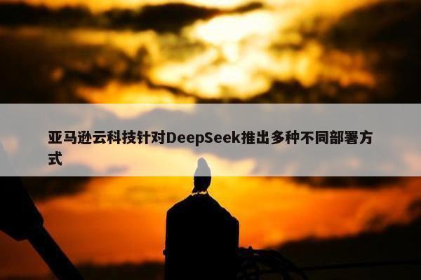 亚马逊云科技针对DeepSeek推出多种不同部署方式