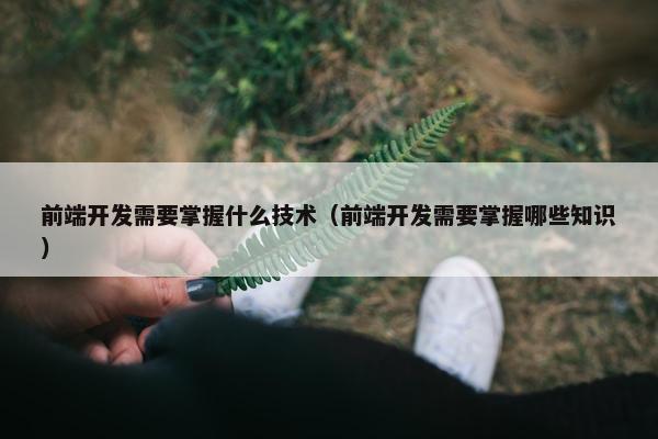 前端开发需要掌握什么技术（前端开发需要掌握哪些知识）