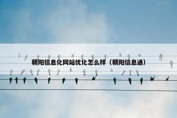 朝阳信息化网站优化怎么样（朝阳信息通）