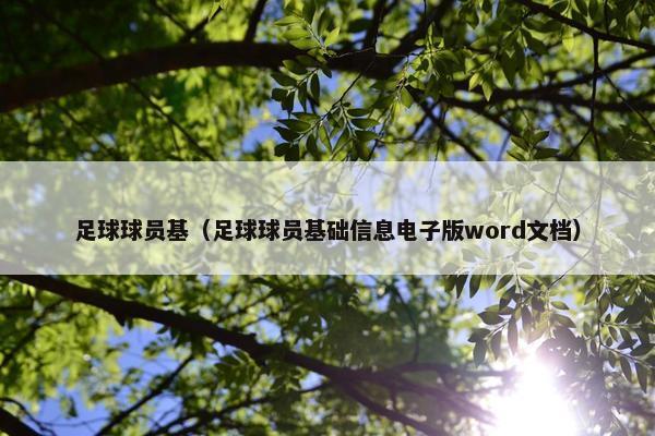 足球球员基（足球球员基础信息电子版word文档）