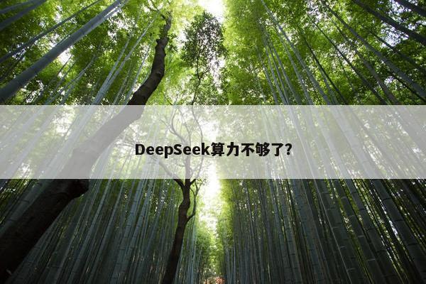 DeepSeek算力不够了？