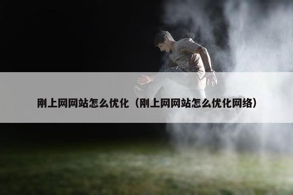 刚上网网站怎么优化（刚上网网站怎么优化网络）