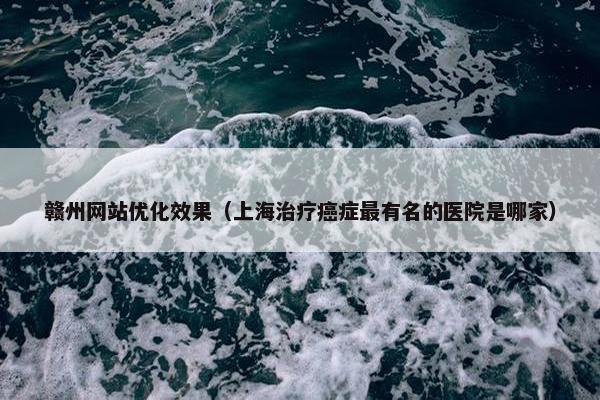 赣州网站优化效果（上海治疗癌症最有名的医院是哪家）