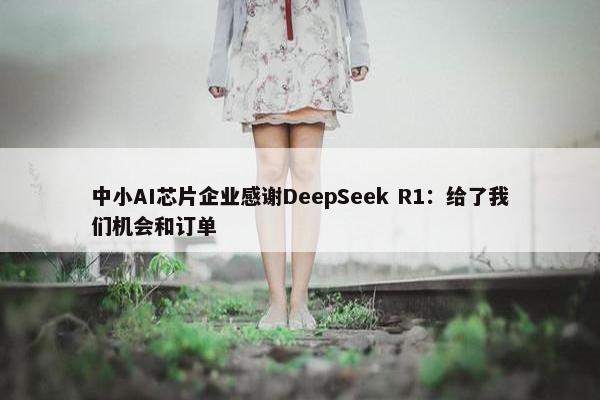 中小AI芯片企业感谢DeepSeek R1：给了我们机会和订单