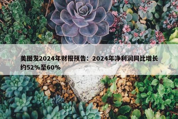 美图发2024年财报预告：2024年净利润同比增长约52%至60%