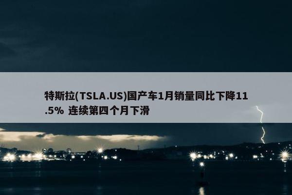 特斯拉(TSLA.US)国产车1月销量同比下降11.5% 连续第四个月下滑