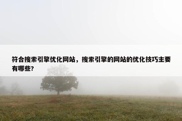 符合搜索引擎优化网站，搜索引擎的网站的优化技巧主要有哪些?