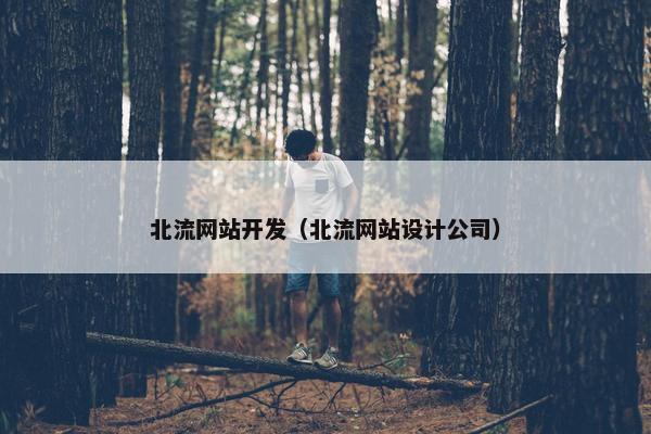 北流网站开发（北流网站设计公司）