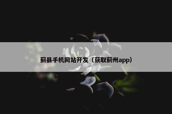 蓟县手机网站开发（获取蓟州app）