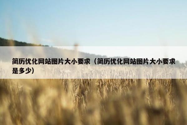 简历优化网站图片大小要求（简历优化网站图片大小要求是多少）