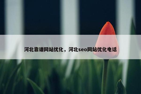 河北靠谱网站优化，河北seo网站优化电话