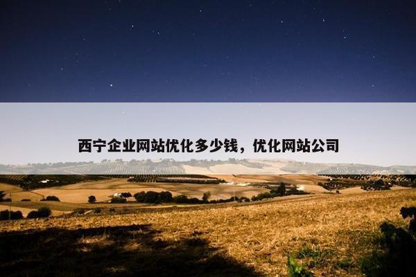 西宁企业网站优化多少钱，优化网站公司