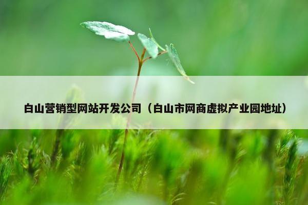 白山营销型网站开发公司（白山市网商虚拟产业园地址）