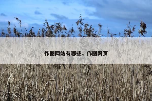 作图网站有哪些，作图网页