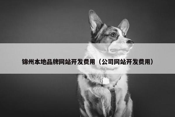 锦州本地品牌网站开发费用（公司网站开发费用）