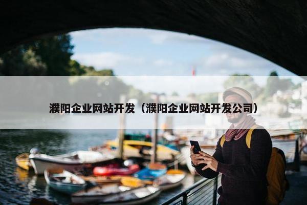 濮阳企业网站开发（濮阳企业网站开发公司）