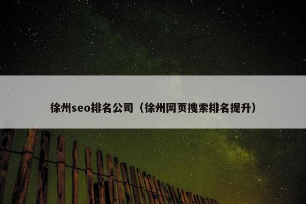 徐州seo排名公司（徐州网页搜索排名提升）