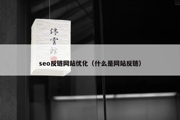 seo反链网站优化（什么是网站反链）