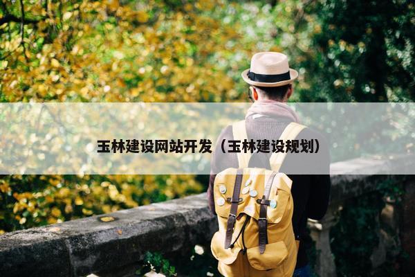 玉林建设网站开发（玉林建设规划）