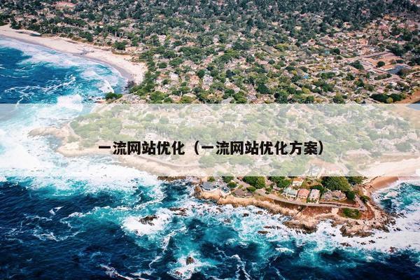 一流网站优化（一流网站优化方案）