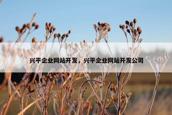 兴平企业网站开发，兴平企业网站开发公司