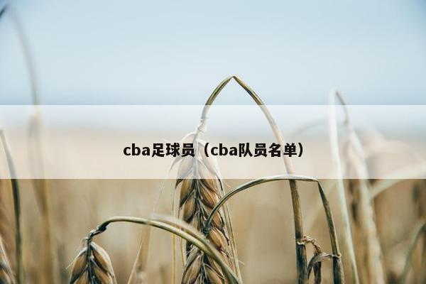 cba足球员（cba队员名单）