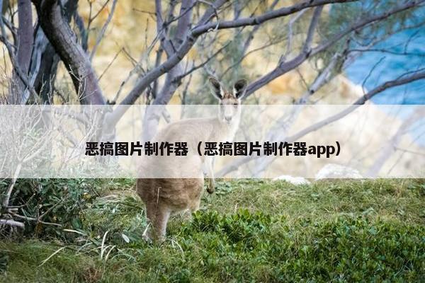 恶搞图片制作器（恶搞图片制作器app）