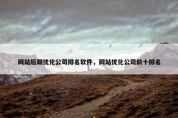 网站后期优化公司排名软件，网站优化公司前十排名