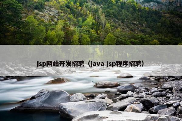 jsp网站开发招聘（java jsp程序招聘）