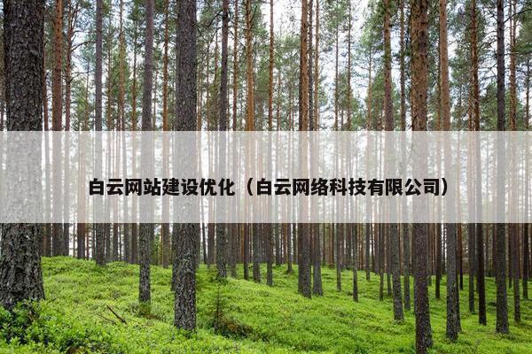 白云网站建设优化（白云网络科技有限公司）